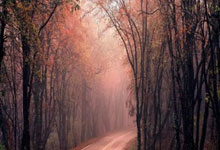 立陶宛选手实现网球比赛逆袭夺冠