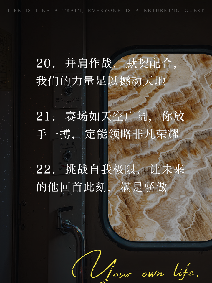 包含拼搏谱写：运动员们为荣誉而战的词条