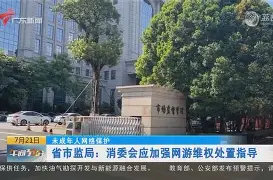 雷恩纳绿卡暴力冲突，罚款禁赛待定的简单介绍